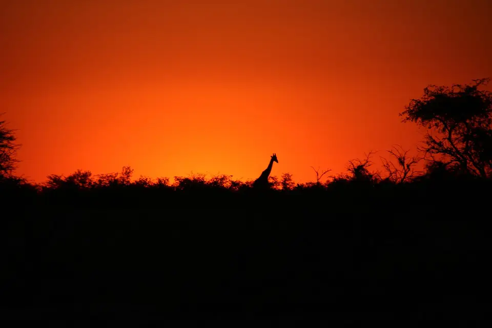 IMG_1422-2.jpeg