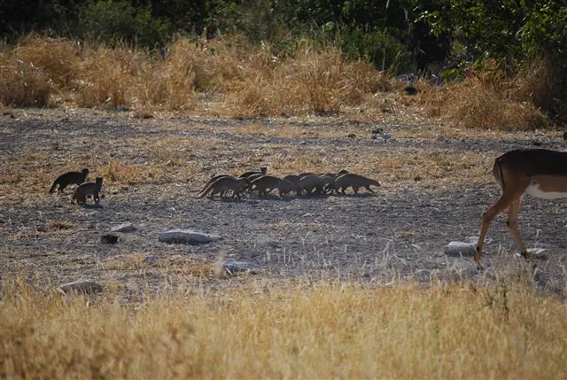 29.04.200915.43.50Etosha-MusharaLodge.JPG