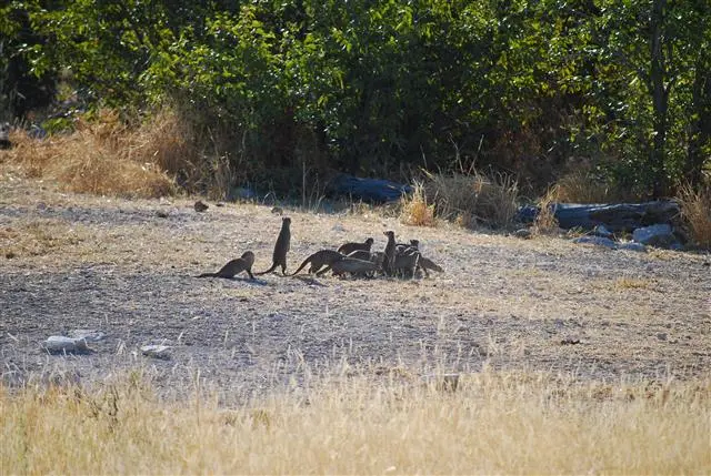 29.04.200915.44.05Etosha-MusharaLodge.JPG