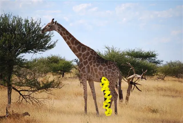 h3f5c99f.JPG