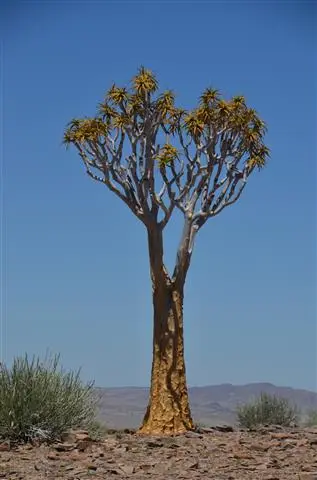 hd26bc3e.JPG