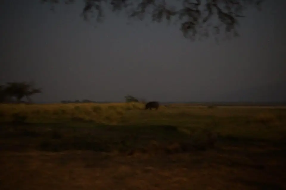 hf359755.jpg