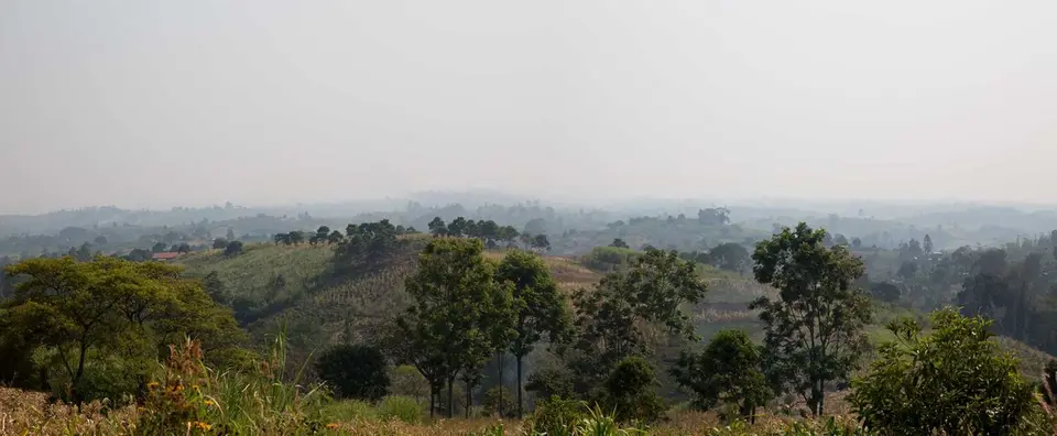 3T8A8747-ff_Panorama1.jpg