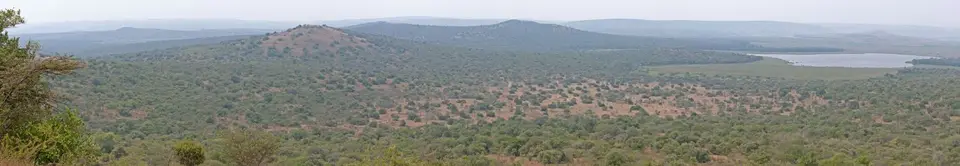 Lake-Mburo-Kazuma-Panp.jpg
