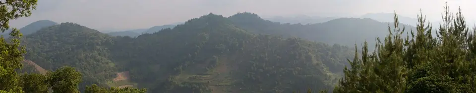 Âussicht-Gorilla-Mist-Camo-Ruhija.jpg