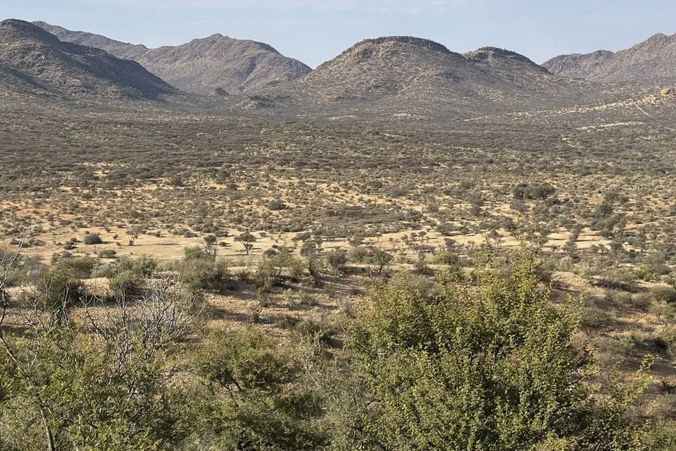 IMG_3205crop.jpg
