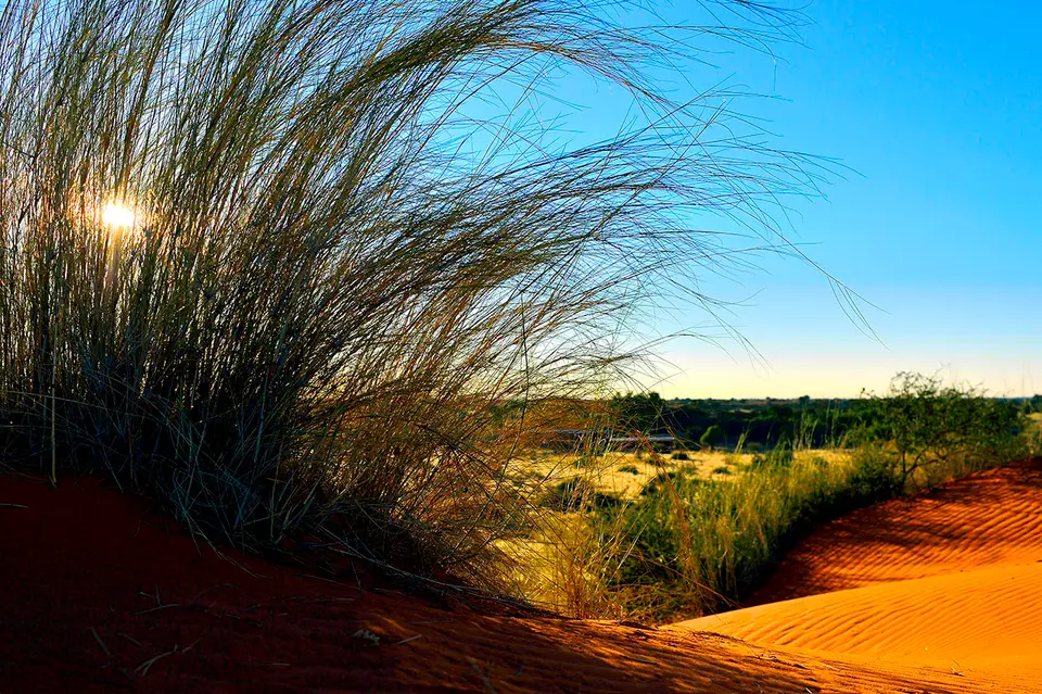 _BGK3937_BagatelleKalahari_1280.jpg