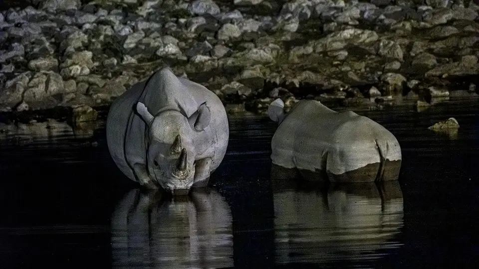 _DSC2555_600mm_ISO6400_0.5sec_f13_FHD.jpg