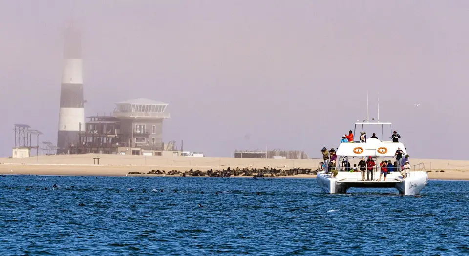 _DSC4556_FHD.jpg