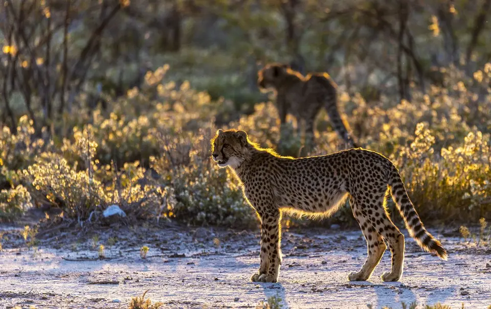 _DSC6027_FHD.jpg