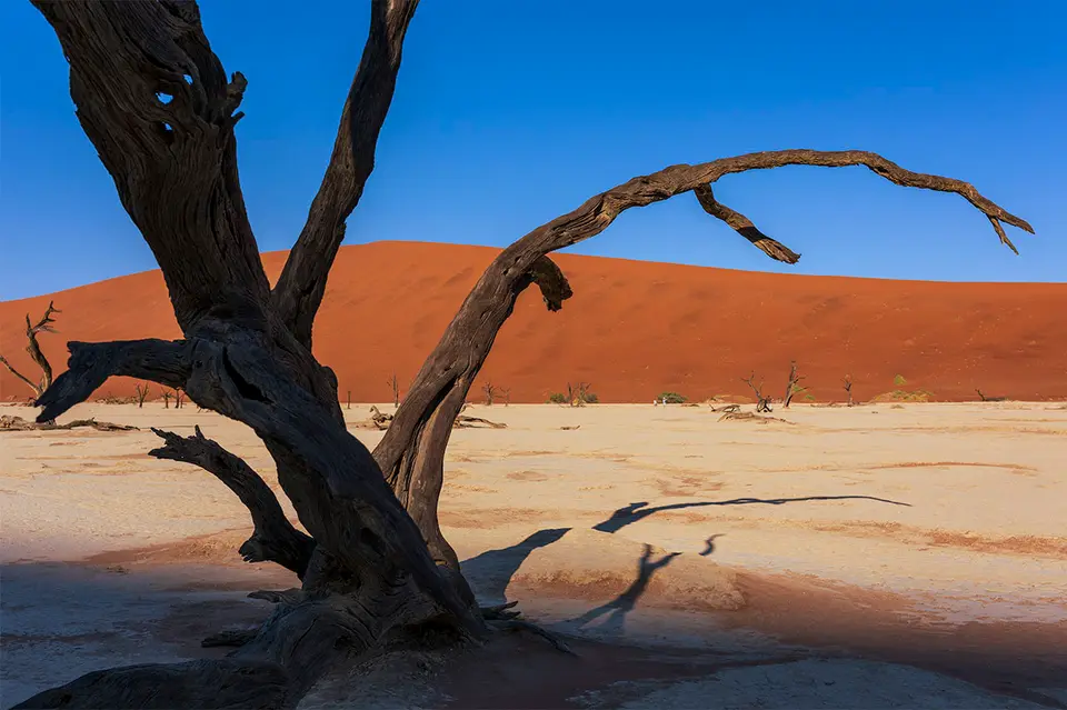 _DSC6672_Deadvlei_2015_CS6_1280.jpg