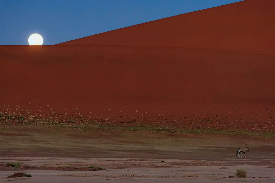 _KAN2412.jpg