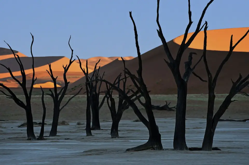 _SDL2465_istock.jpg