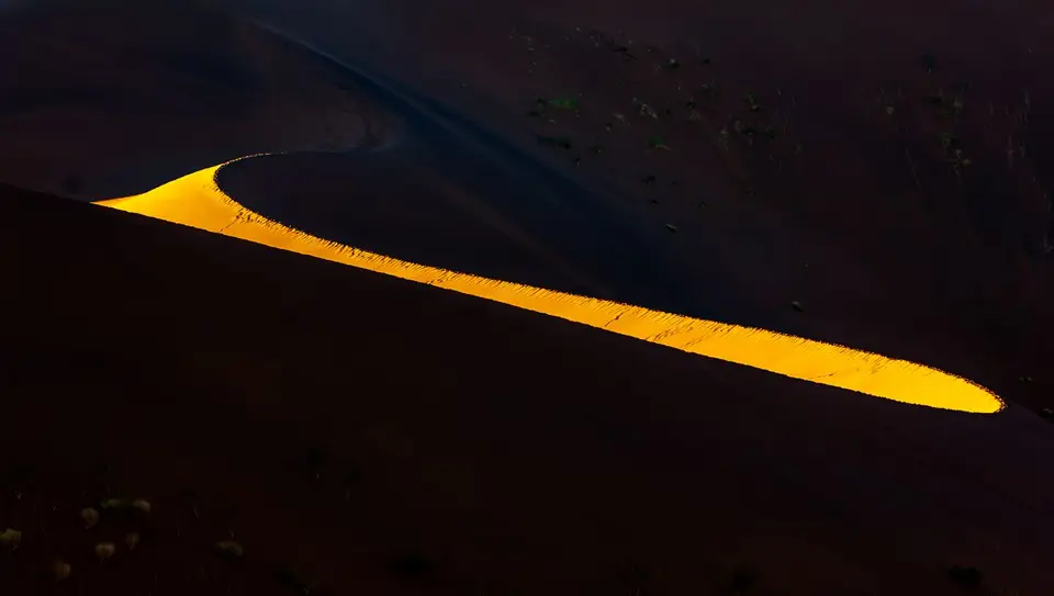 _SES1489.jpg