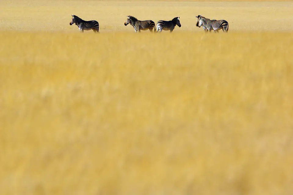 _SES2403_istock_02.2012.hp.jpg