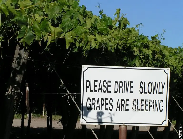 Grapes.jpg