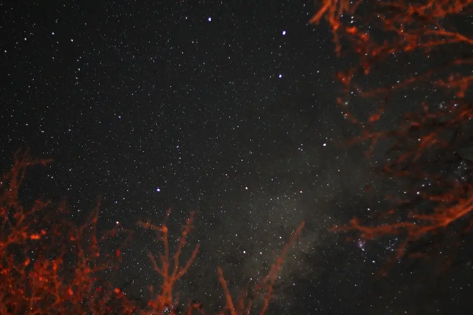 h246a990.JPG