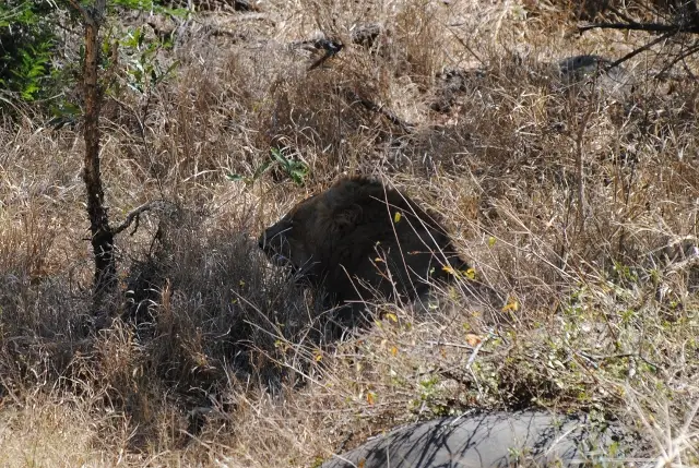 h1679857.jpg