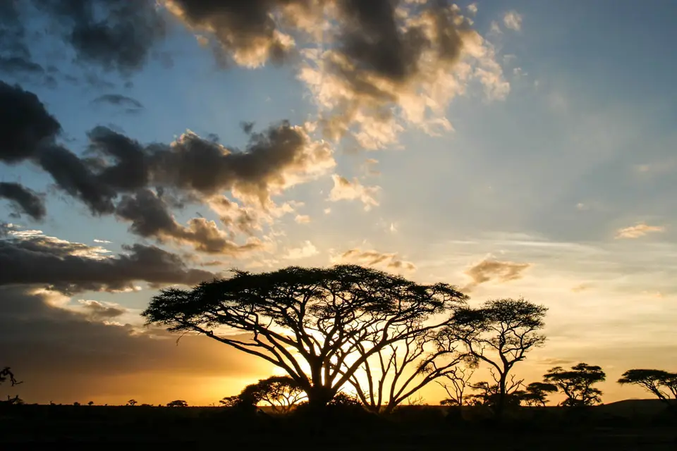 Amboseli,Abend.jpg