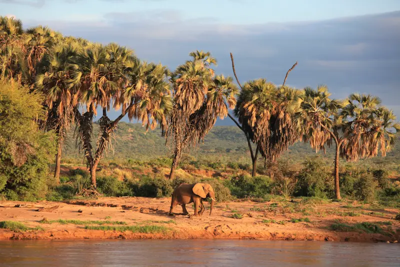 Samburu-3944.jpg