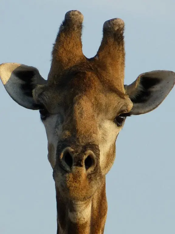 ha969b4f.jpg