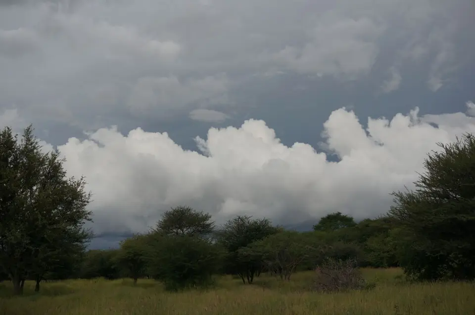 h207f5b8.JPG