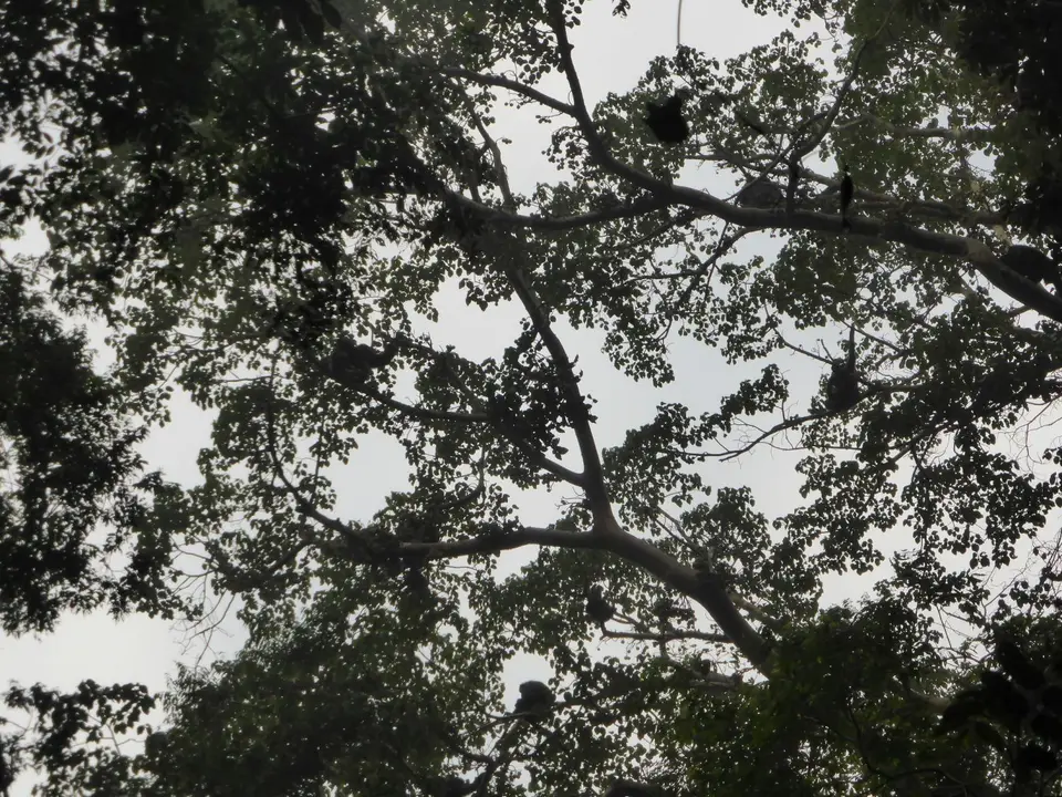 UgaRwa_2017_0066.JPG