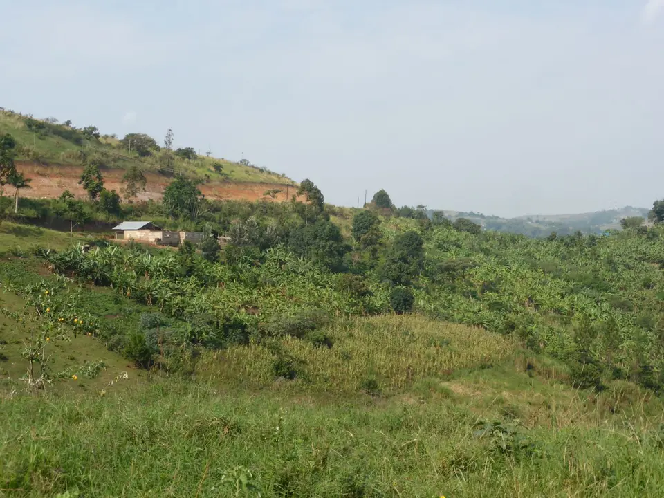 UgaRwa_2017_0093.JPG