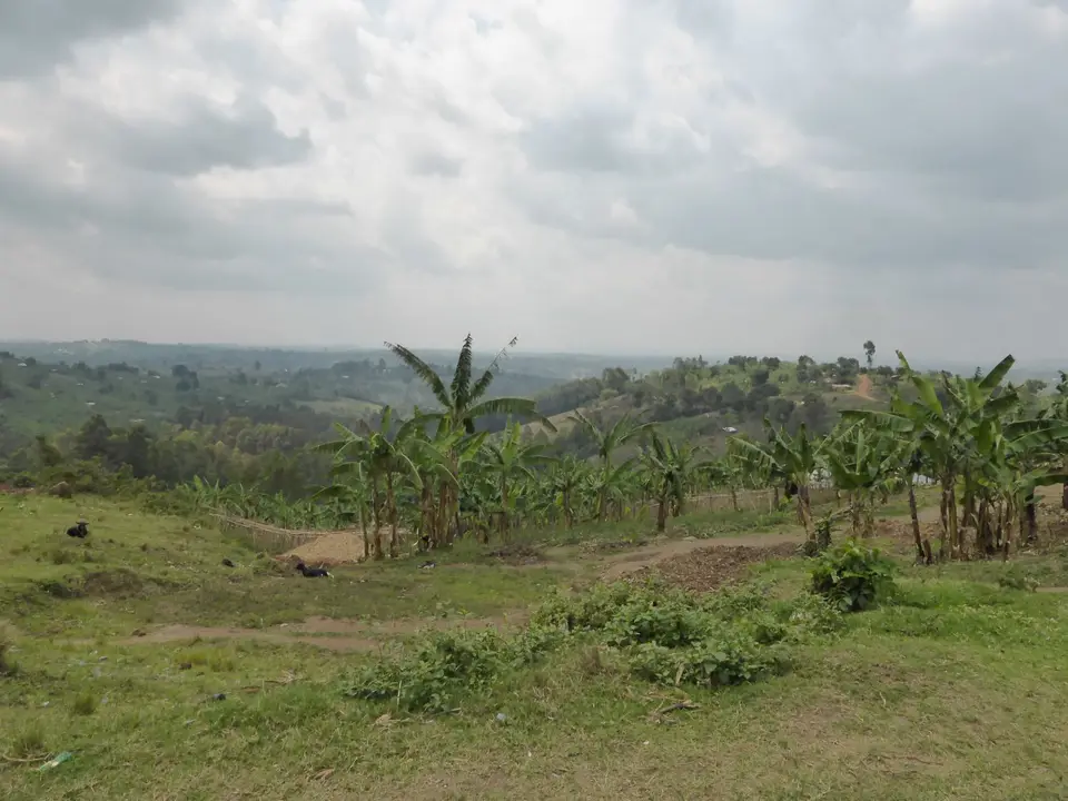 UgaRwa_2017_0099.JPG