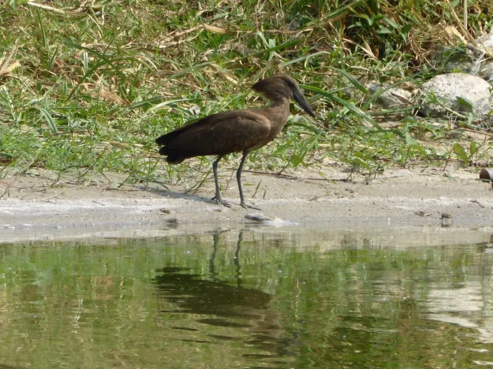 UgaRwa_2017_0135.JPG