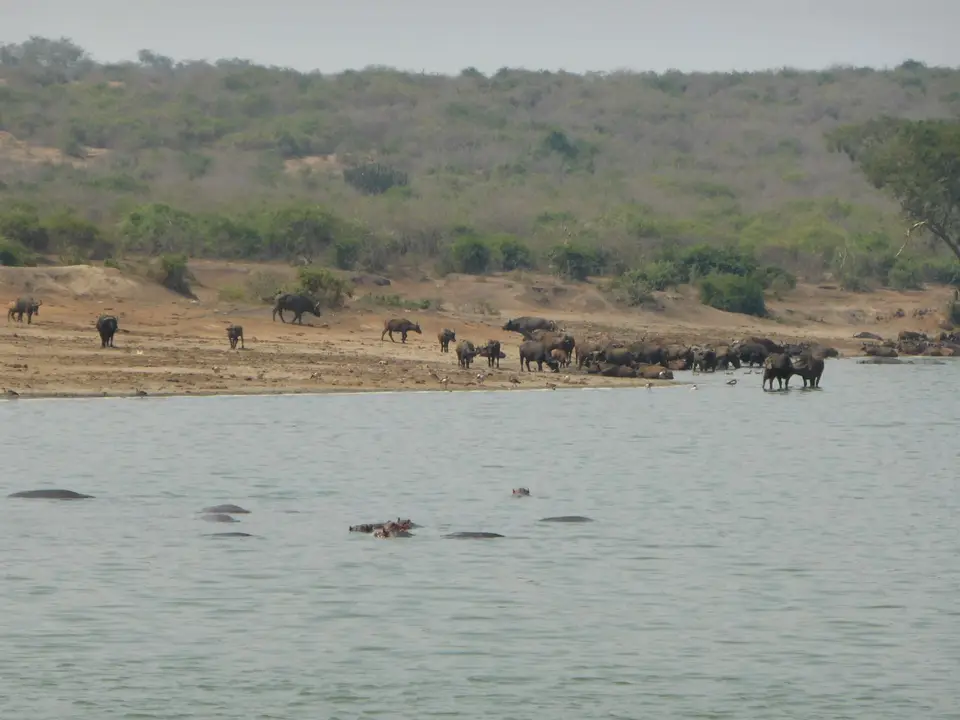 UgaRwa_2017_0136.JPG