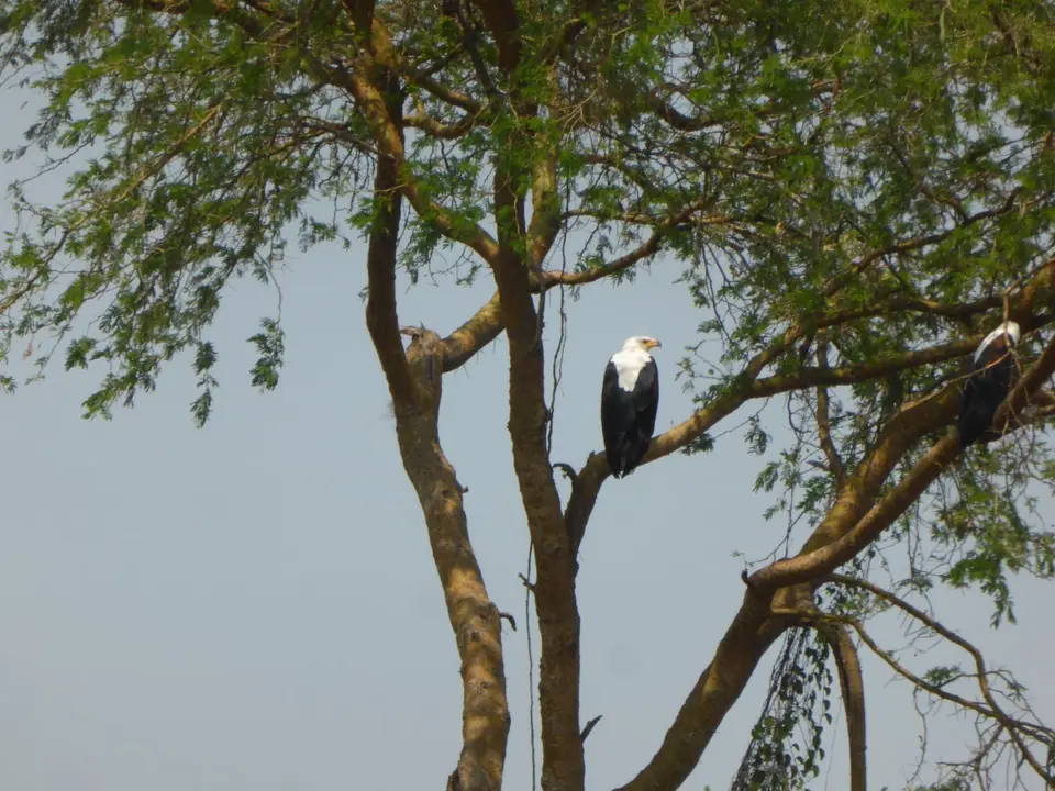 UgaRwa_2017_0139.JPG