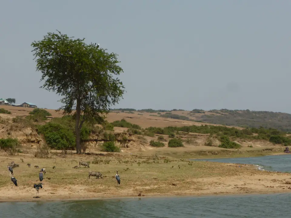 UgaRwa_2017_0164.JPG