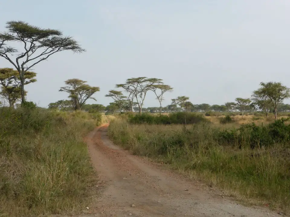 UgaRwa_2017_0191.JPG