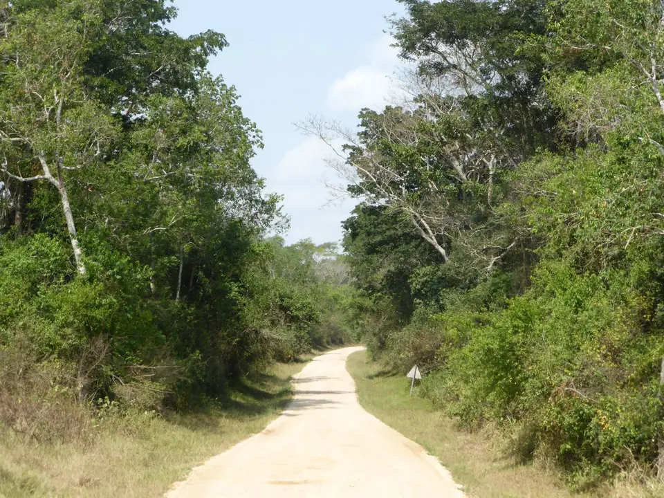 UgaRwa_2017_0200.JPG