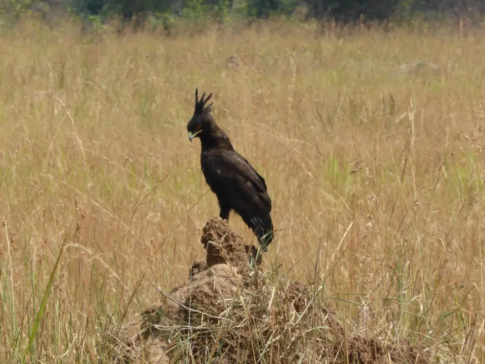 UgaRwa_2017_0208.JPG