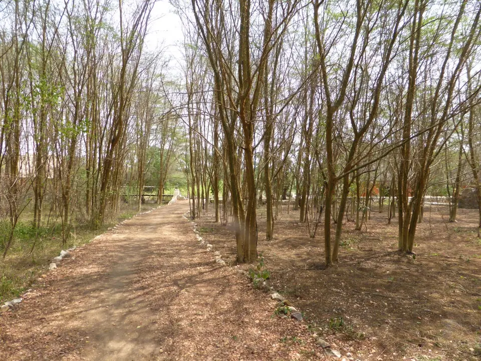UgaRwa_2017_0214.JPG
