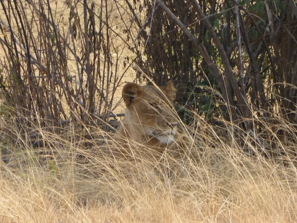 UgaRwa_2017_0259.jpg