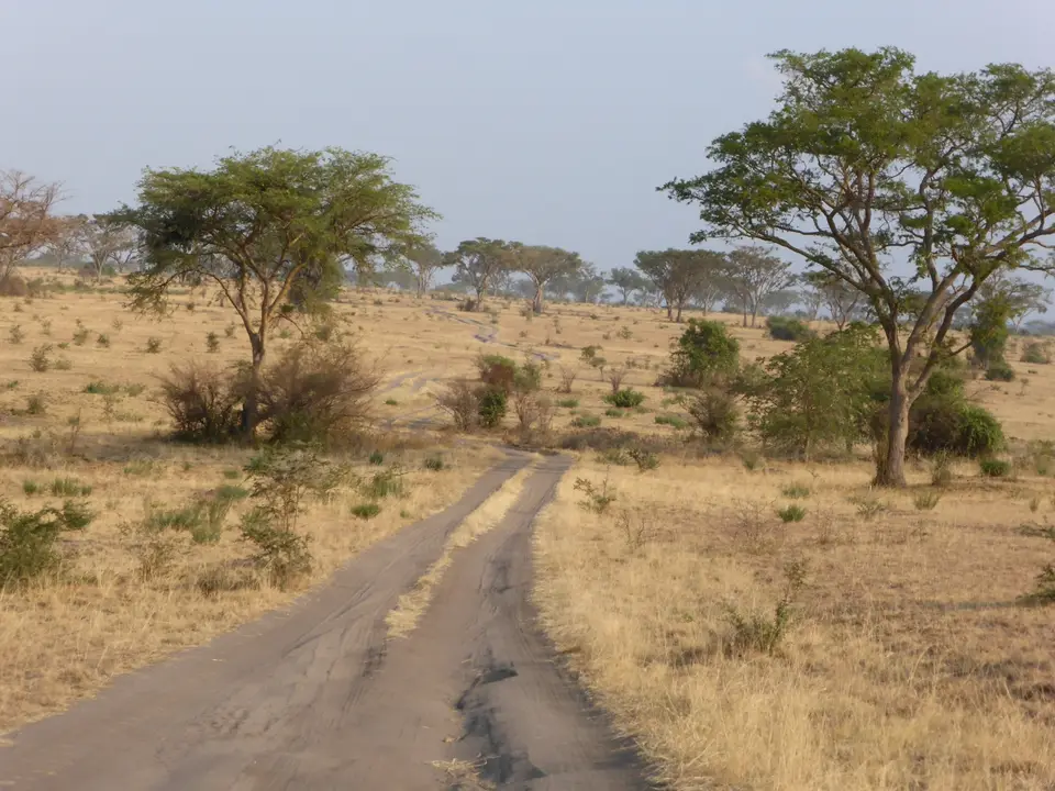 UgaRwa_2017_0270.jpg