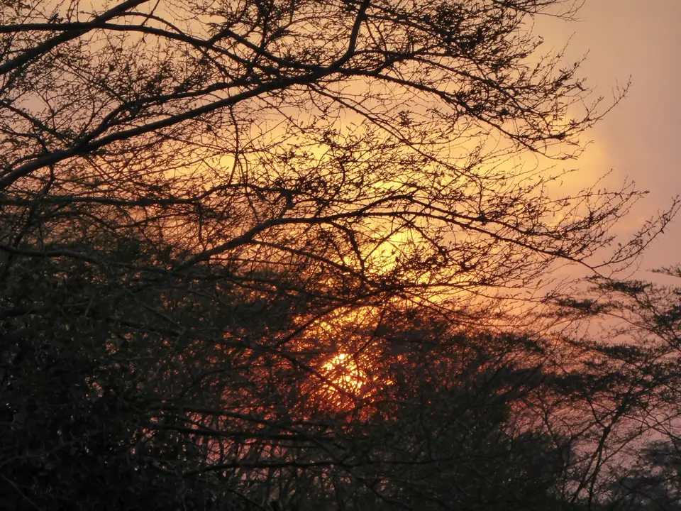 UgaRwa_2017_0280.jpg