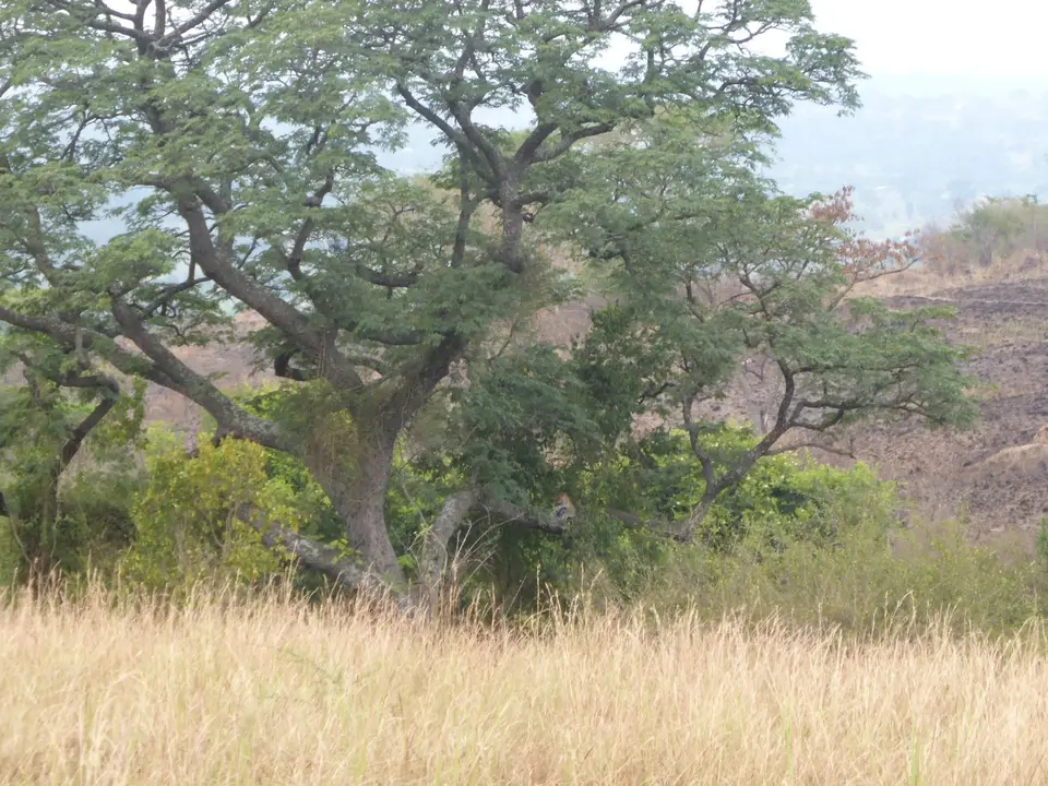 UgaRwa_2017_0290.JPG