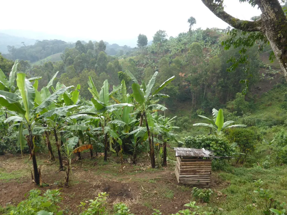 UgaRwa_2017_0315.JPG