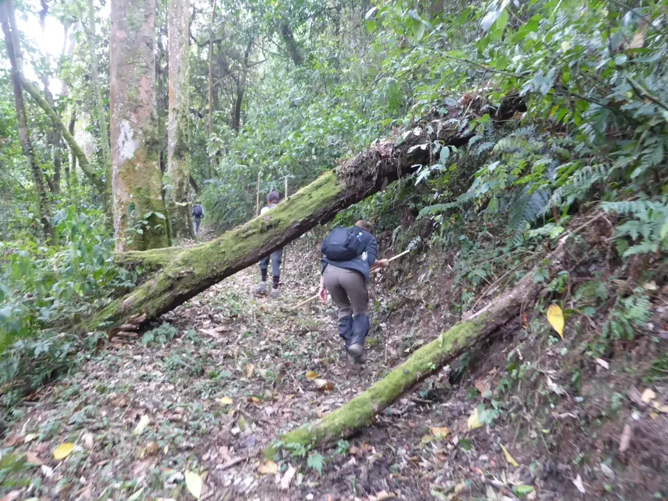 UgaRwa_2017_0352.JPG