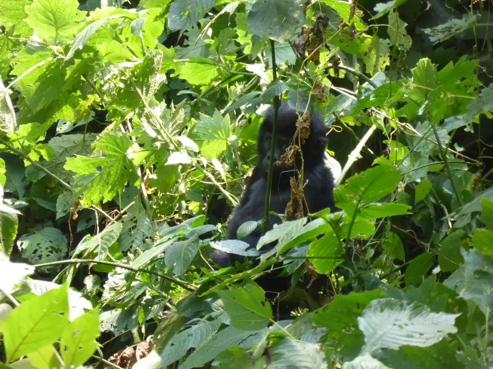 UgaRwa_2017_0386.JPG
