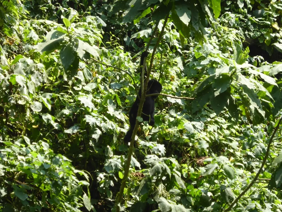 UgaRwa_2017_0389.JPG