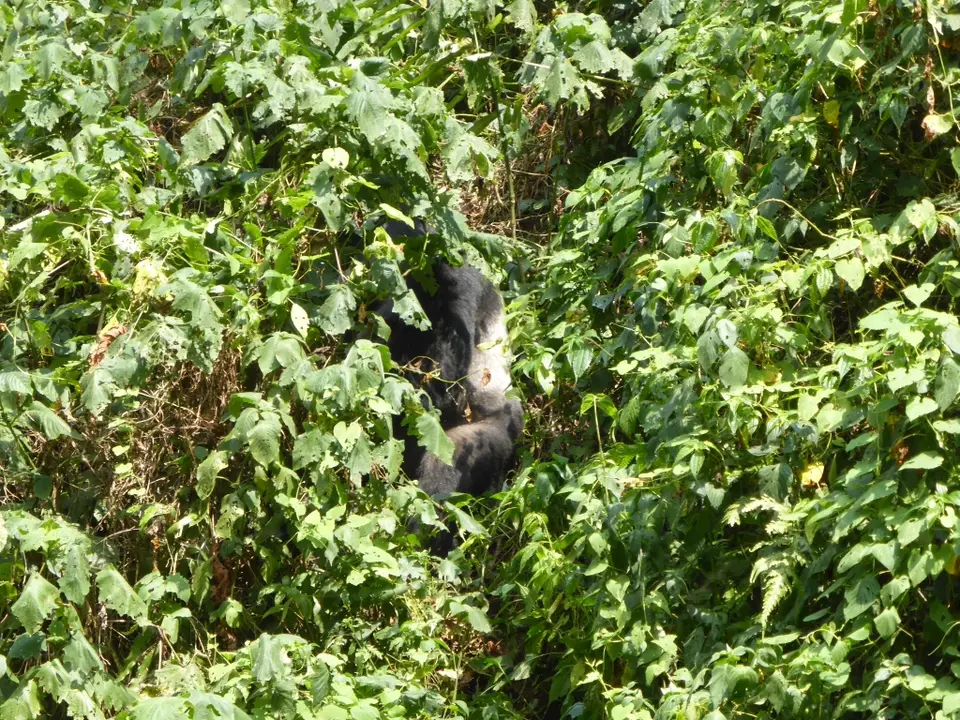 UgaRwa_2017_0413.JPG