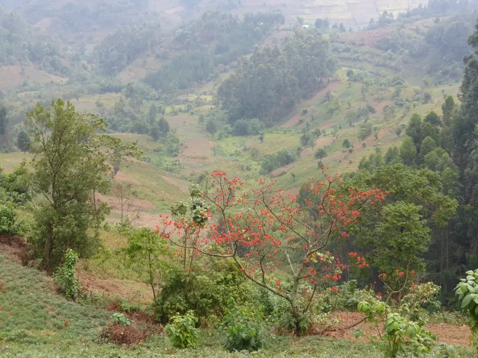 UgaRwa_2017_0427.JPG