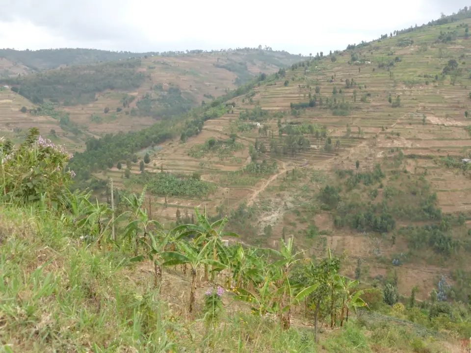 UgaRwa_2017_0800.JPG