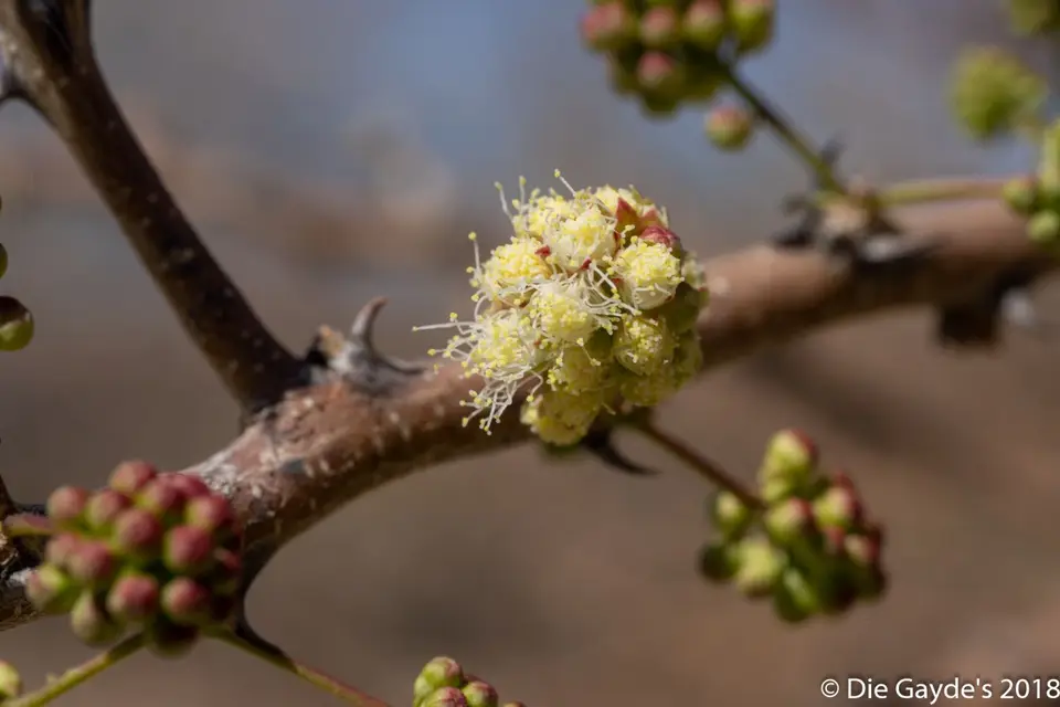 EOS6DMarkII_2018_09_27_2410.jpg