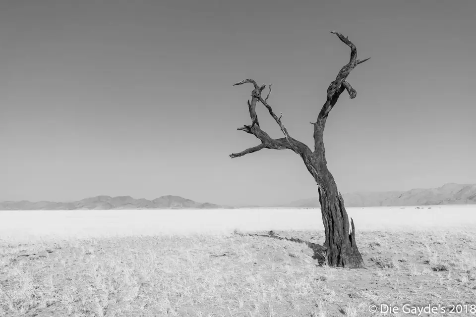 EOS6DMarkII_2018_10_02_2930.jpg
